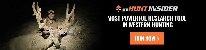 Gohunt_insider_bar_3