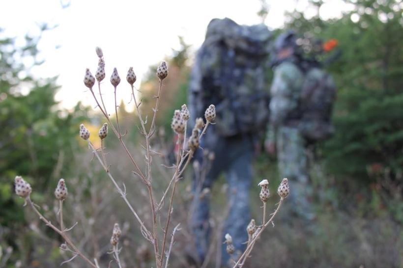 Spot and stalk elk tactics