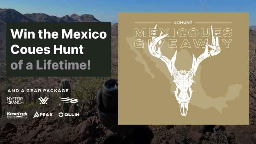 Gohunt mexico coues deer dream hunt giveaway