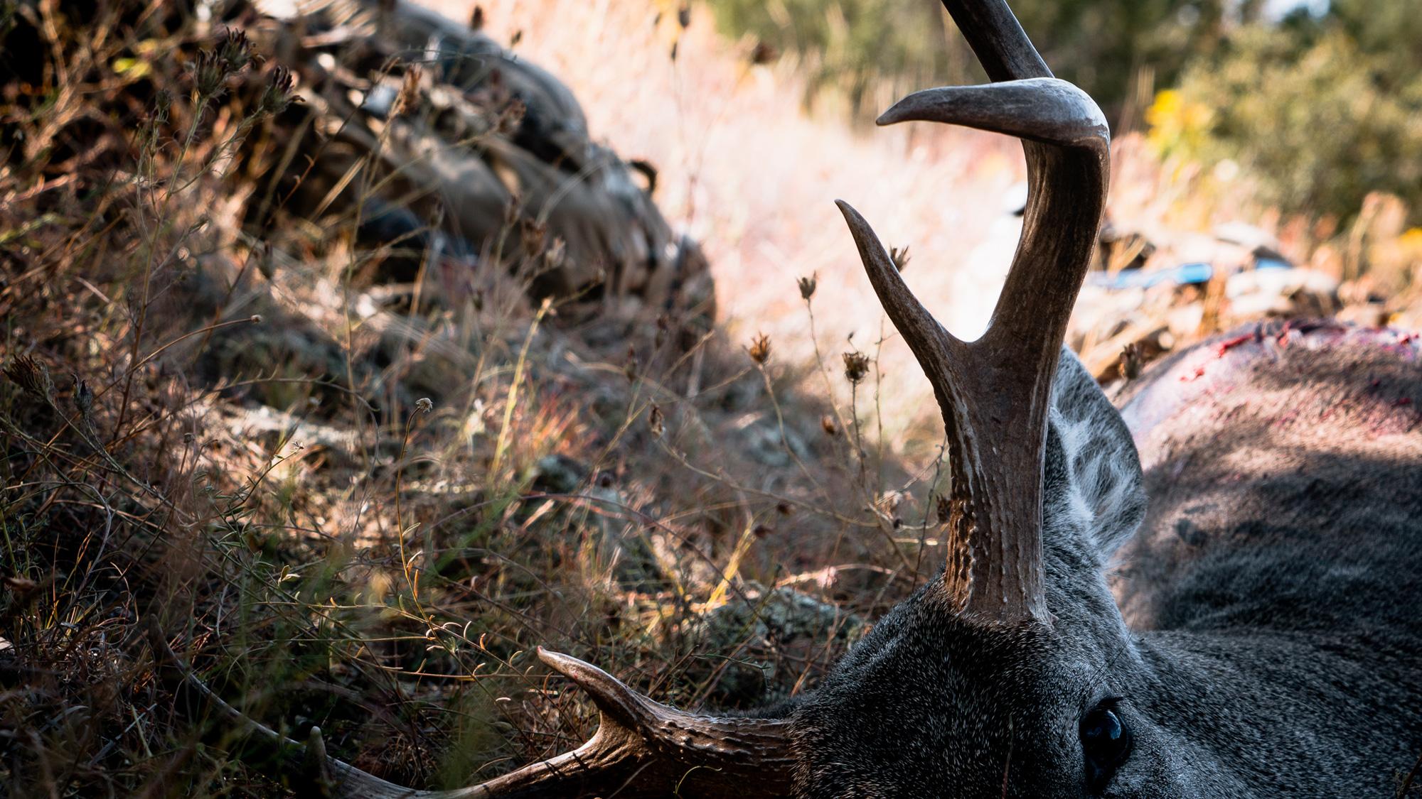 The ebb and flow of hunting spot