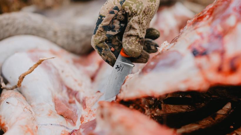 March gohunt insider argali giveaway