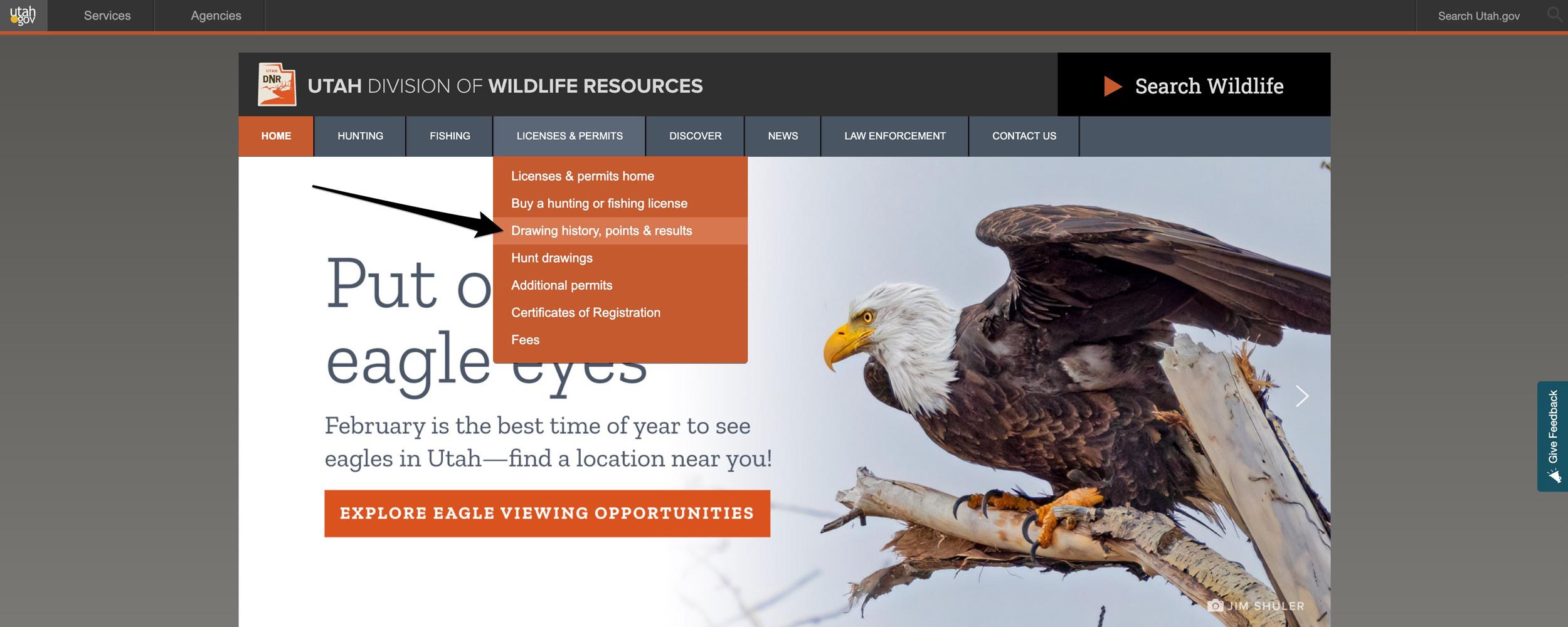 Accessing Utah drawing history, points and results for hunting