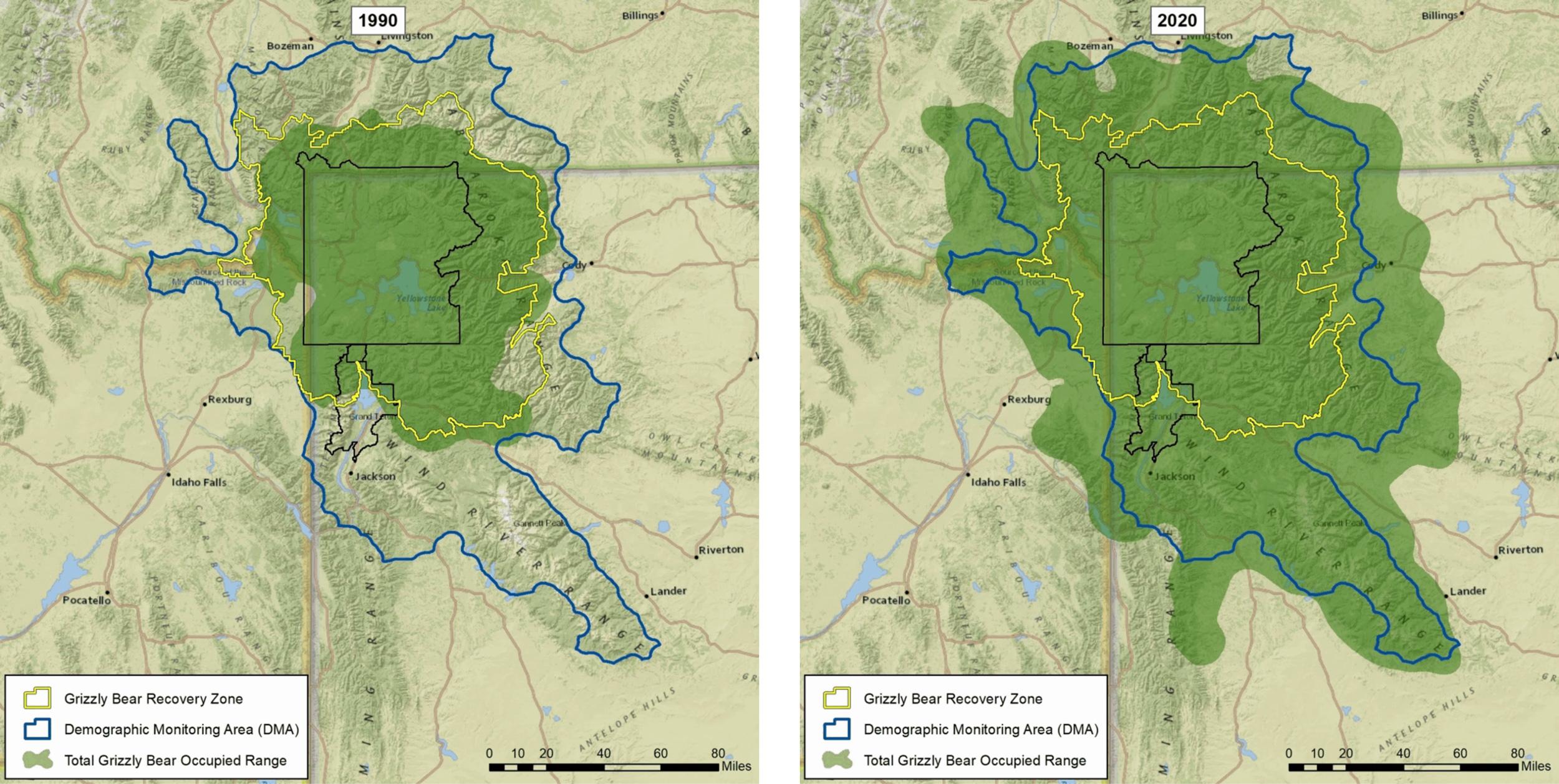 Wyoming grizzly bear range in 1990 and 2020