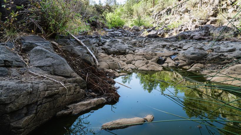 Pic 2 trail cam on water