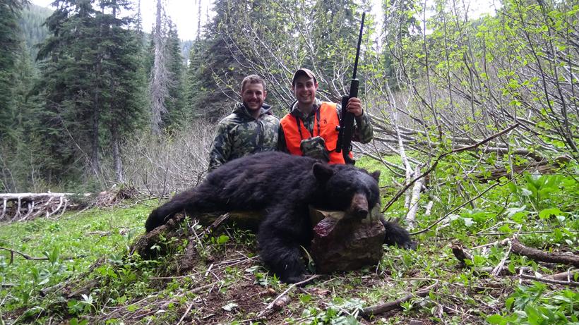 Bear harvest pic
