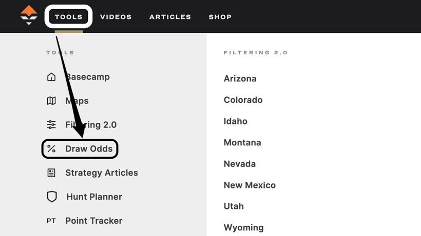 Navigating to gohunt draw odds section
