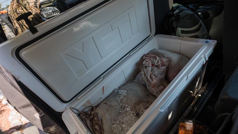 Dedicated cooler full of ice for game meat