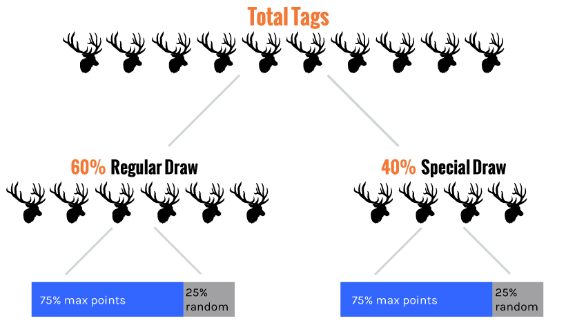 Wyoming regular draw vs special draw example