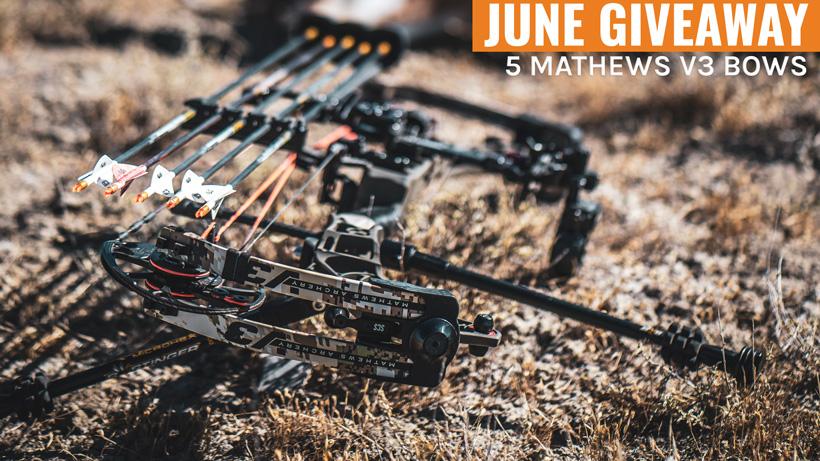 Mathews v3 giveaway