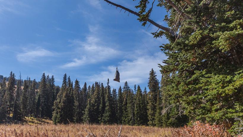 Hanging meat in the wyoming backcountry