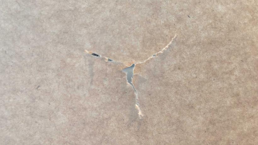 Paper tuned mathews vxr bow