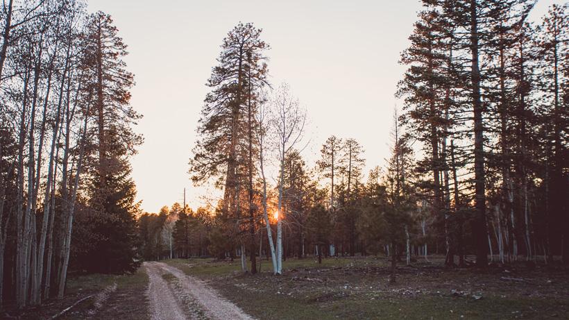 Driving roads in the summer to learn the unit