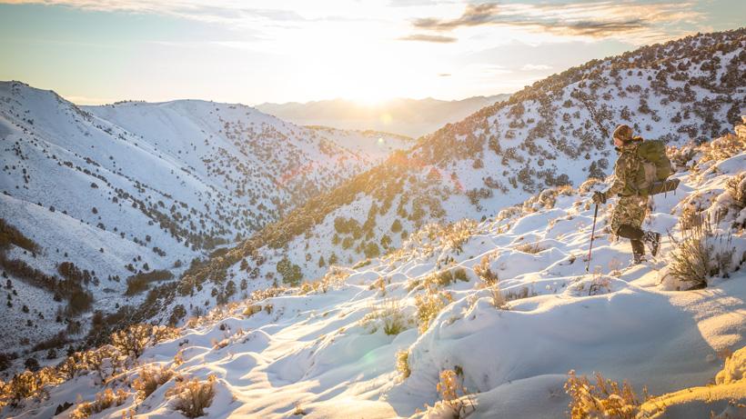 Late season mule deer hunt