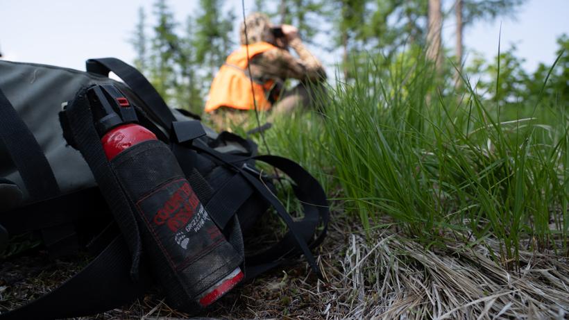 Bear spray glassing hunting