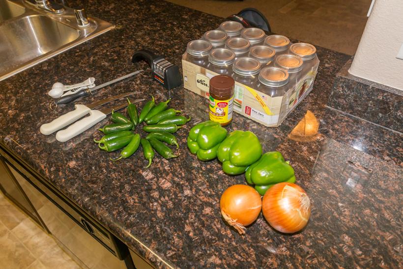 1 bottled venison ingredients