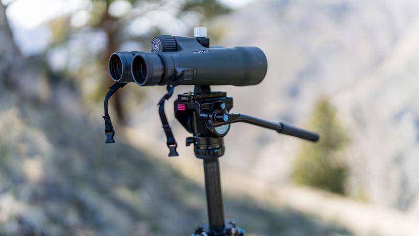 Binoculars mounted on a tripod for all-day glassing when hunting black bears