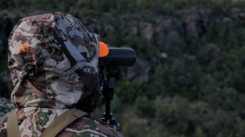 Glassing bucks in arizona