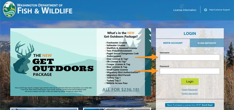 Entering username and password on washington licensing page