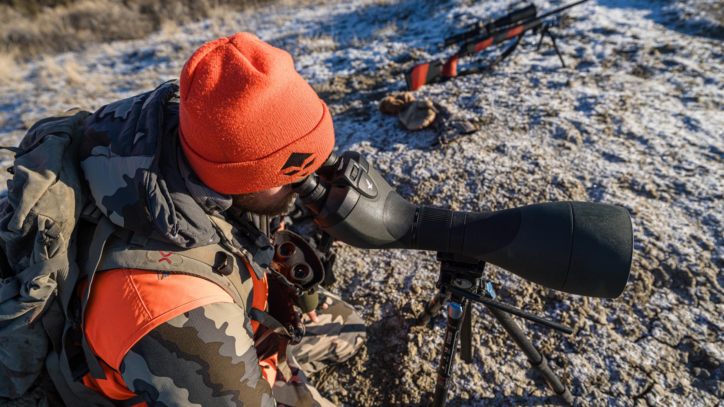 Glassing for rutting mule deer with Swarovski BTX spotting scope