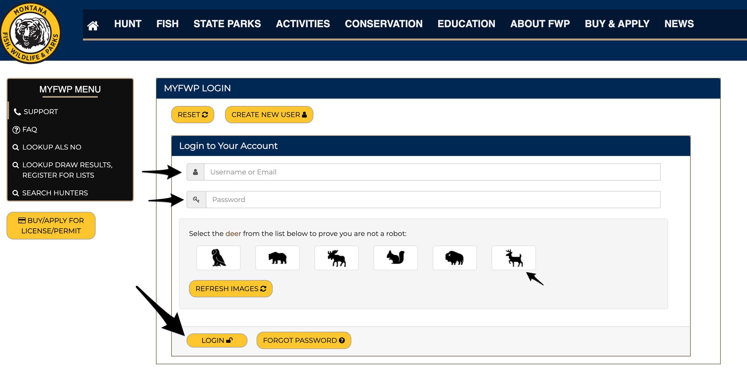 Login to MyFWP with your account details to see your hunting point totals