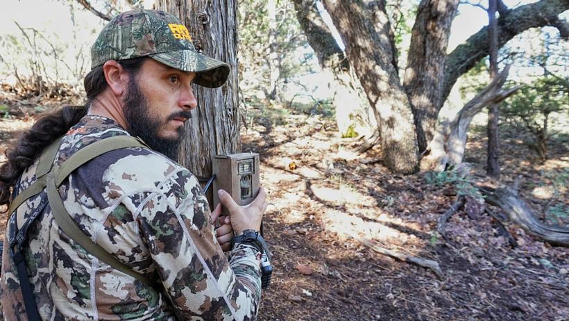 Setting trail cameras for black bears